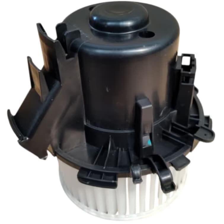 BW5029S