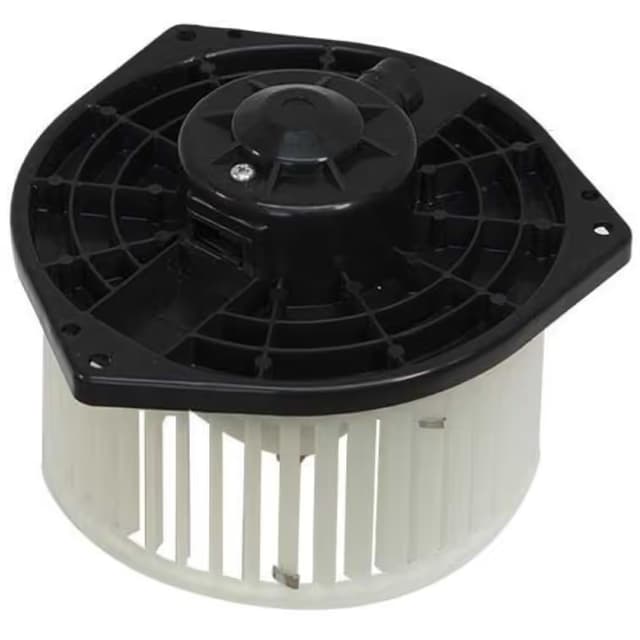 BW5038S