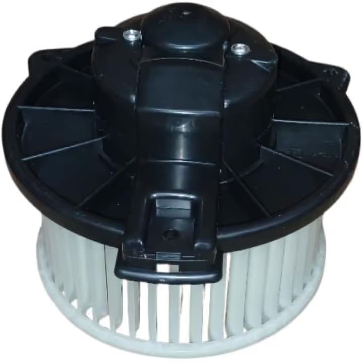 BW5379S