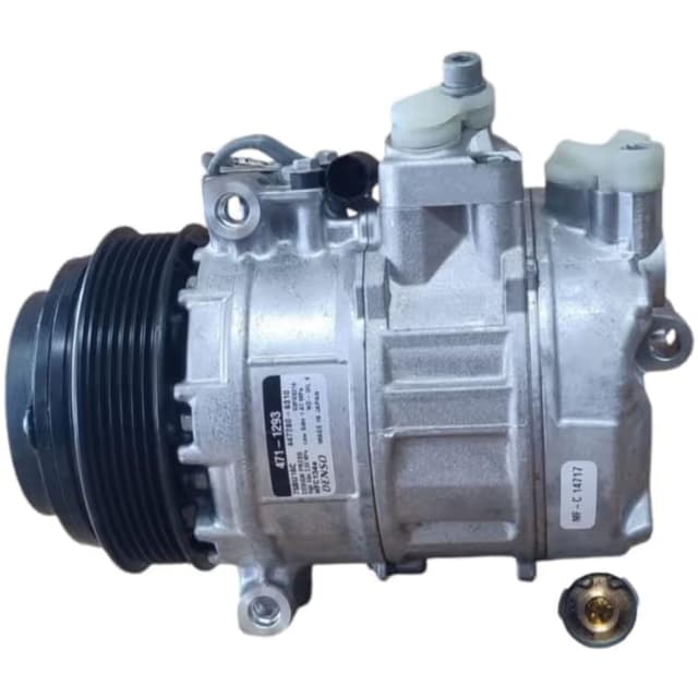 CP1293