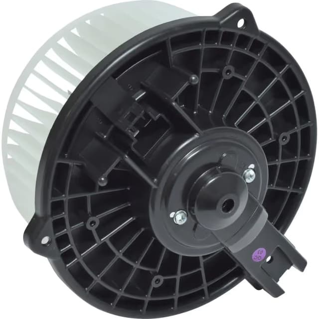 BW5039